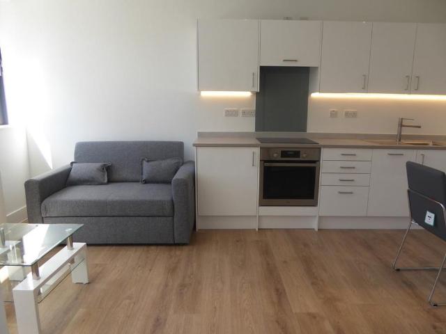 1 bedroom apartment to rent