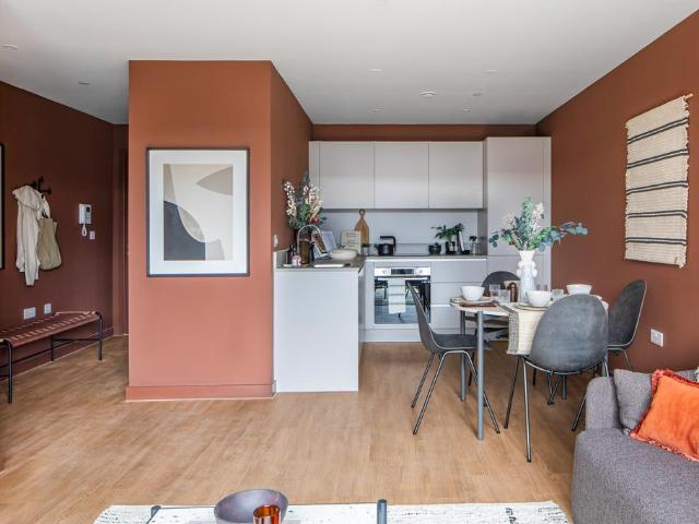1 bedroom apartment to rent