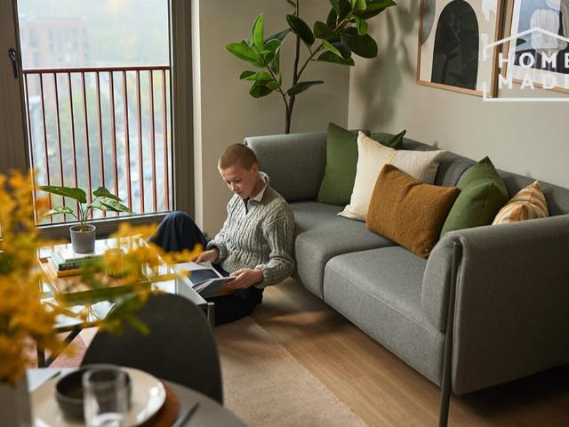 1 bedroom apartment to rent