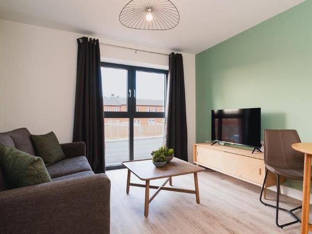 1 bedroom apartment to rent