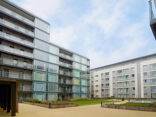 1 bedroom apartment to rent
