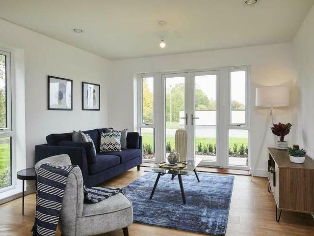 1 bedroom apartment to rent