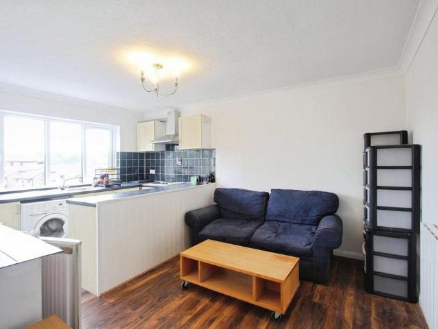 1 bedroom apartment to rent