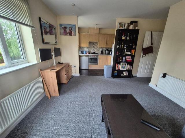 1 bedroom apartment to rent