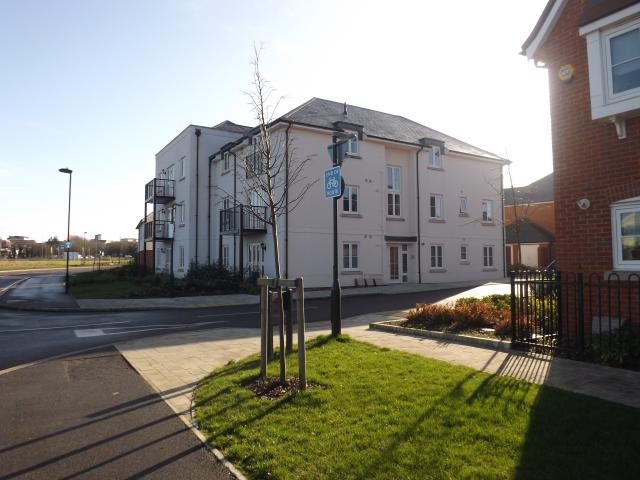 1 bedroom apartment to rent