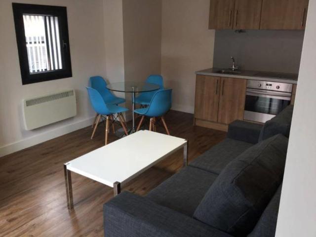 1 bedroom apartment to rent