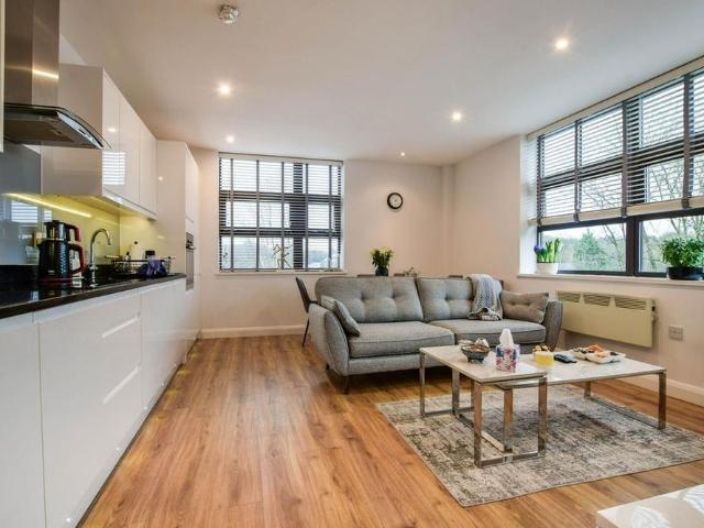 1 bedroom apartment to rent