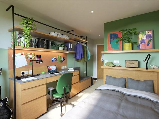 1 bedroom apartment to rent