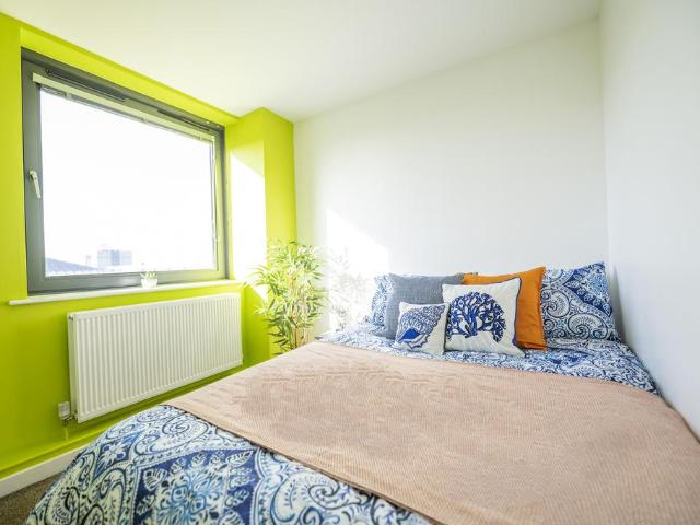 1 bedroom apartment to rent