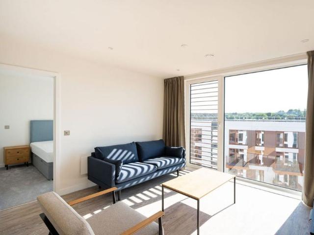 1 bedroom apartment to rent