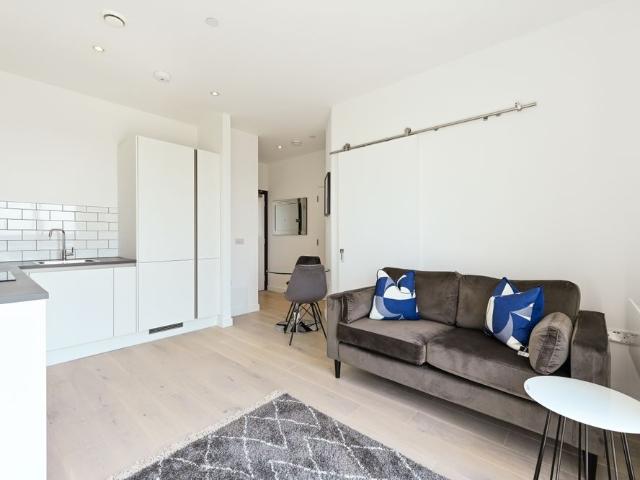 1 bedroom apartment to rent
