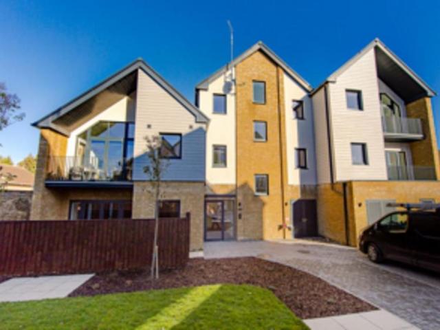 1 bedroom apartment to rent