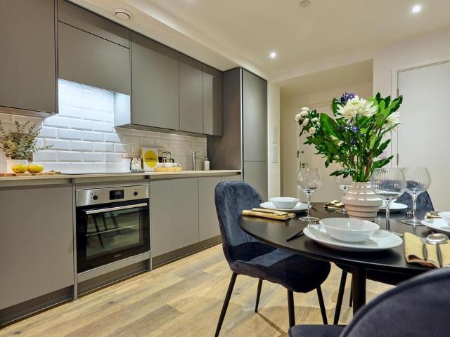 1 bedroom apartment to rent