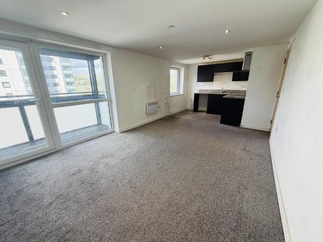1 bedroom apartment to rent