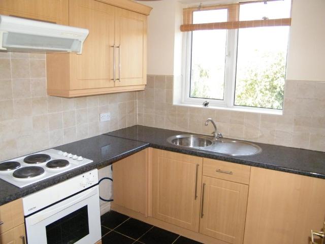1 bedroom apartment to rent