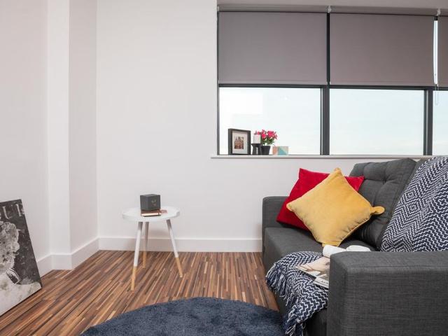1 bedroom apartment to rent