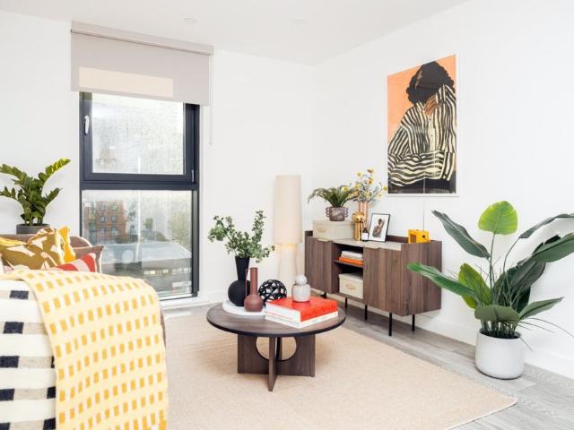 1 bedroom apartment to rent