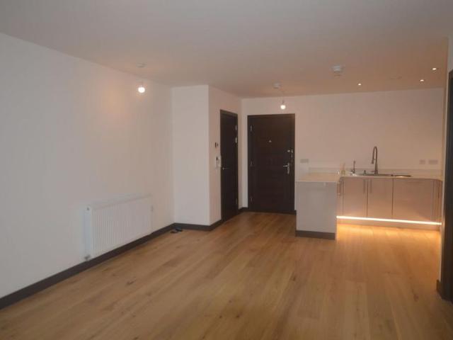 1 bedroom apartment to rent