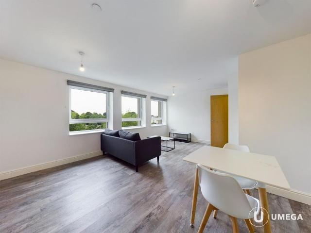 1 bedroom apartment to rent