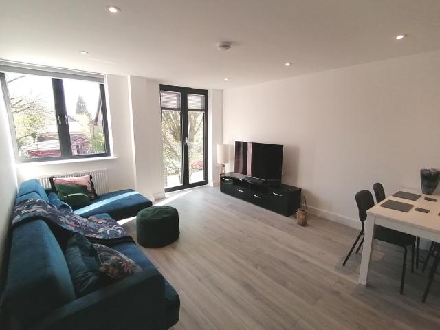 1 bedroom apartment to rent