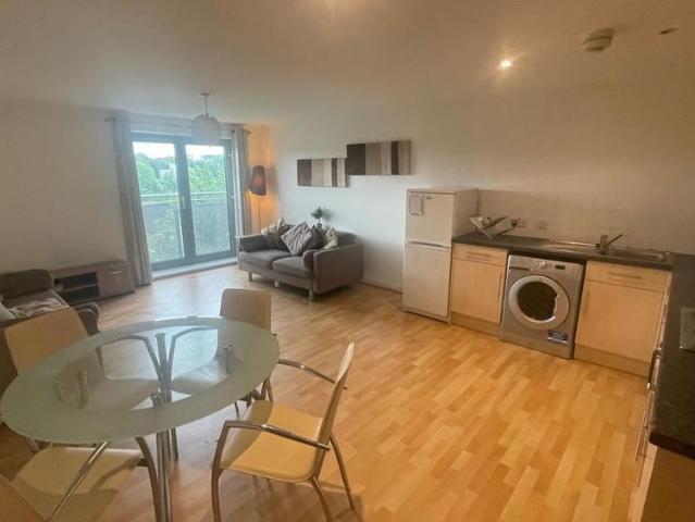 1 bedroom apartment to rent