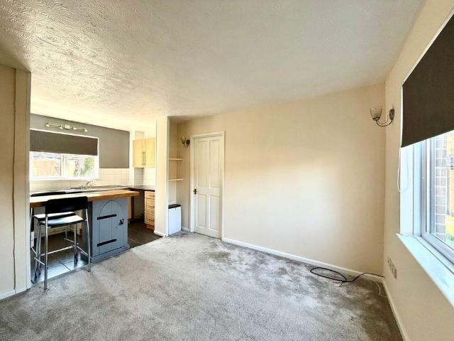 1 bedroom apartment to rent