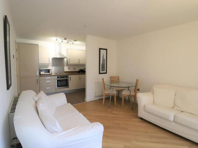 1 bedroom apartment to rent
