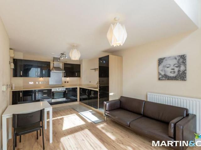 1 bedroom apartment to rent