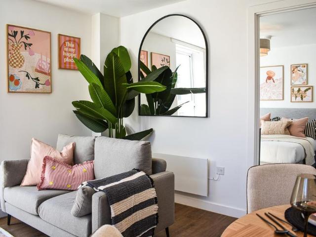 1 bedroom apartment to rent