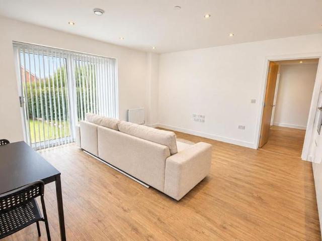 1 bedroom apartment to rent