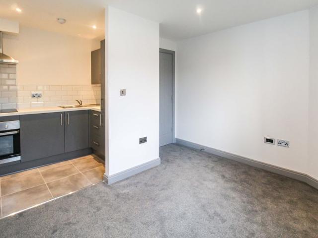 1 bedroom apartment to rent
