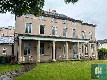 1 bedroom apartment to rent