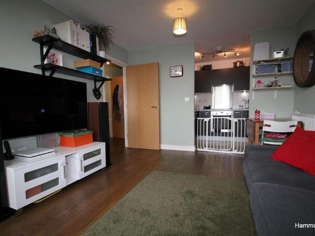 1 bedroom apartment to rent
