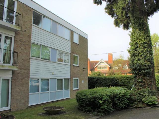 1 bedroom apartment to rent