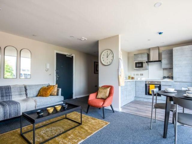 1 bedroom apartment to rent