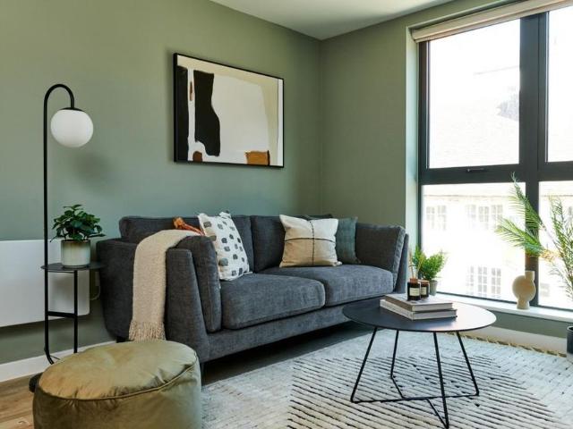 1 bedroom apartment to rent