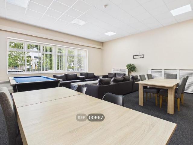 1 bedroom apartment to rent
