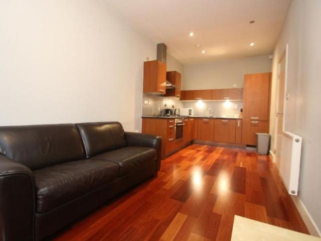 1 bedroom apartment to rent
