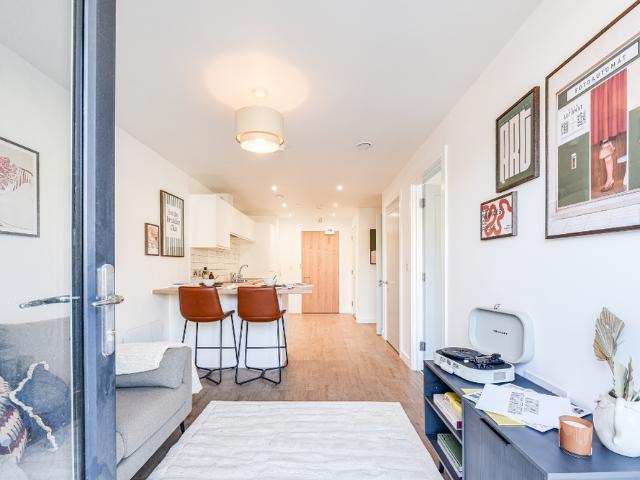 1 bedroom apartment to rent