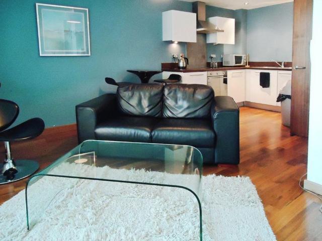 1 bedroom apartment to rent