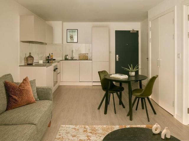 1 bedroom apartment to rent
