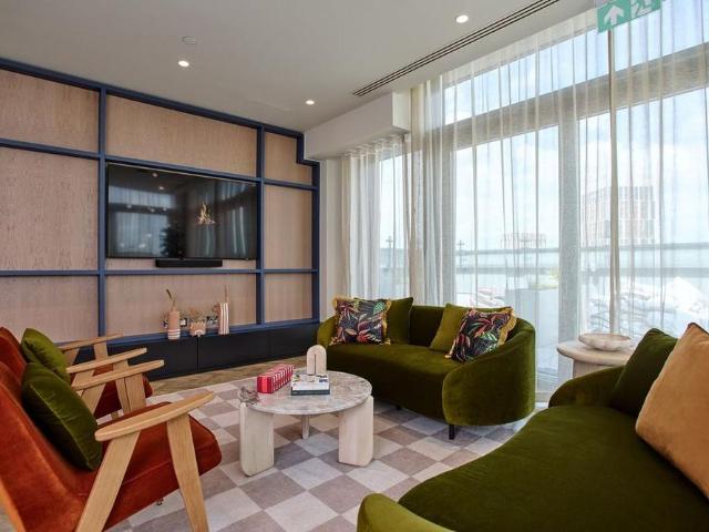 1 bedroom apartment to rent
