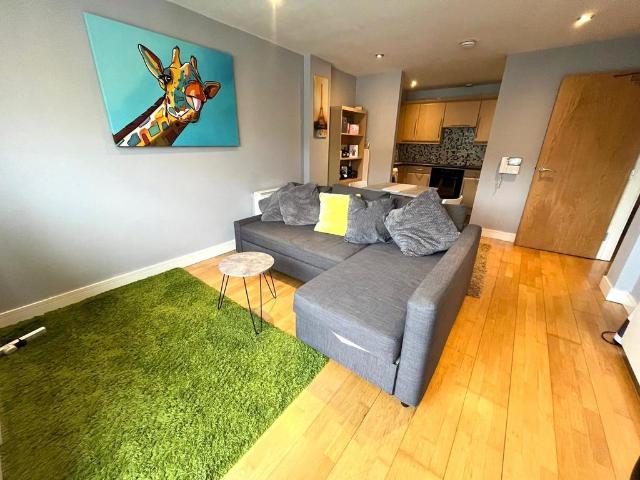 1 bedroom apartment to rent