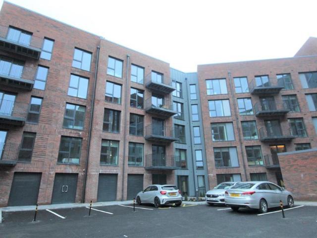 1 bedroom apartment to rent
