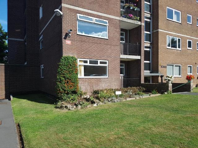 1 bedroom apartment to rent