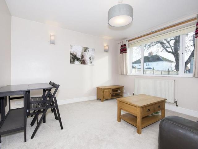 1 bedroom apartment to rent