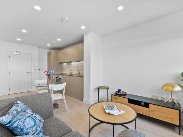 1 bedroom apartment to rent