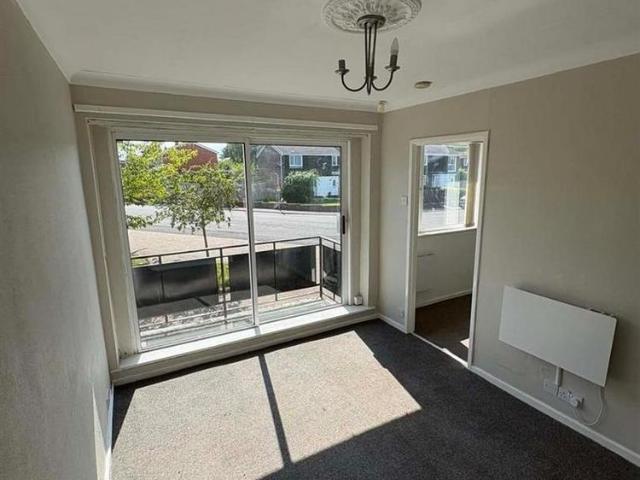 1 bedroom apartment to rent