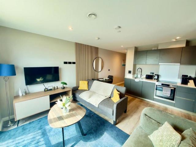 1 bedroom apartment to rent