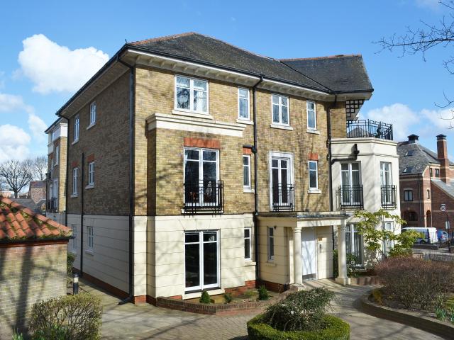 1 bedroom apartment to rent
